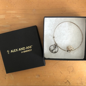 Alex and‎ Ani Silver Anchor Bracelet